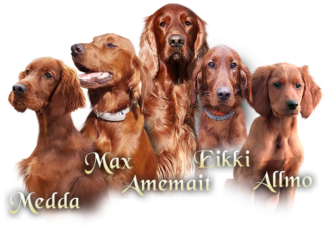 NaÅ¡i irÅ¡tÃ­ setÅi